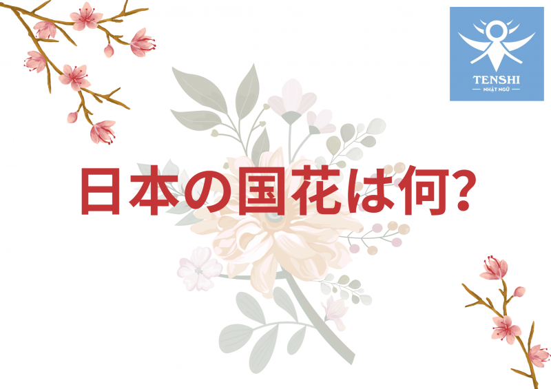 QUỐC HOA CỦA NƯỚC NHẬT